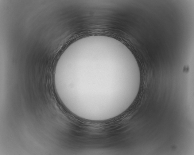 X0000111900751200908241002