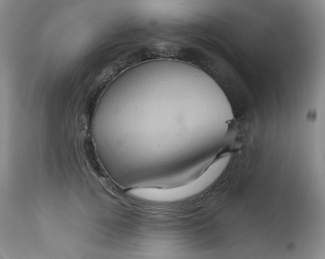 X0000111900752200908241002