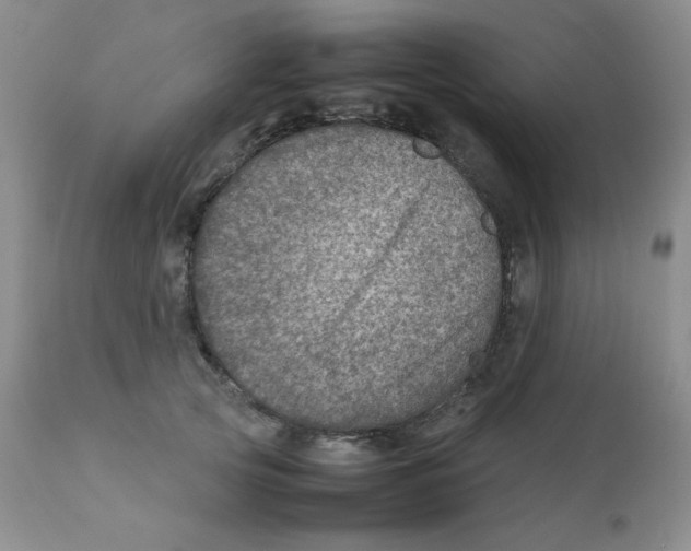 X0000111900753200908241002