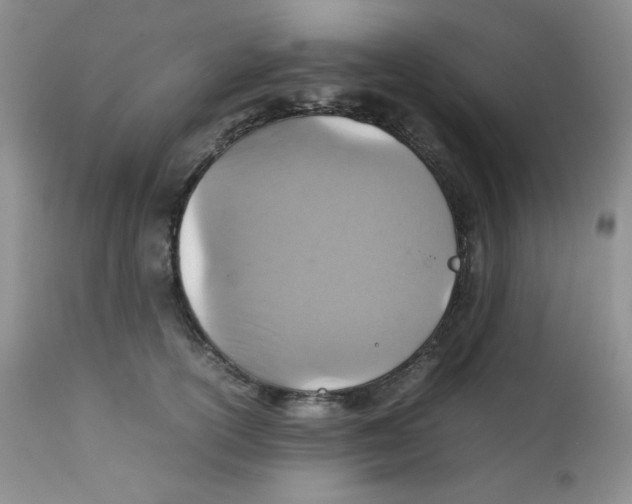 X0000111900754200908241002