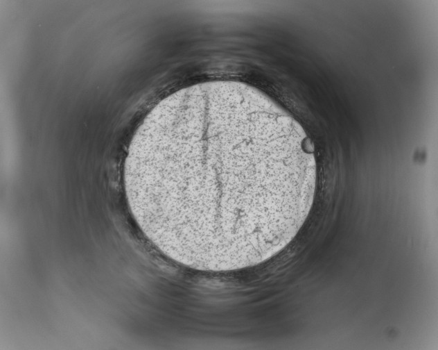 X0000111900755200908241002