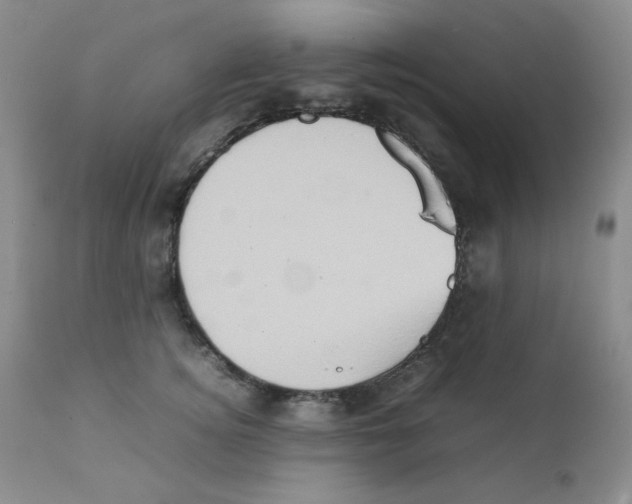 X0000111900756200908241002