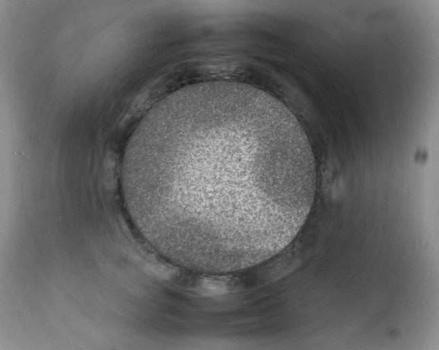 X0000111900757200908241002