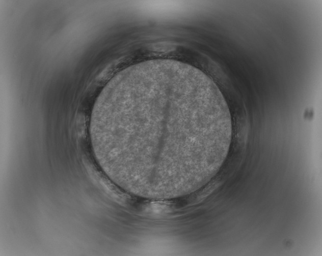 X0000111900758200908241002