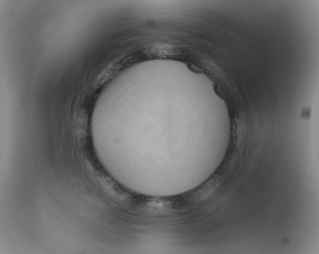 X0000111900760200908241002