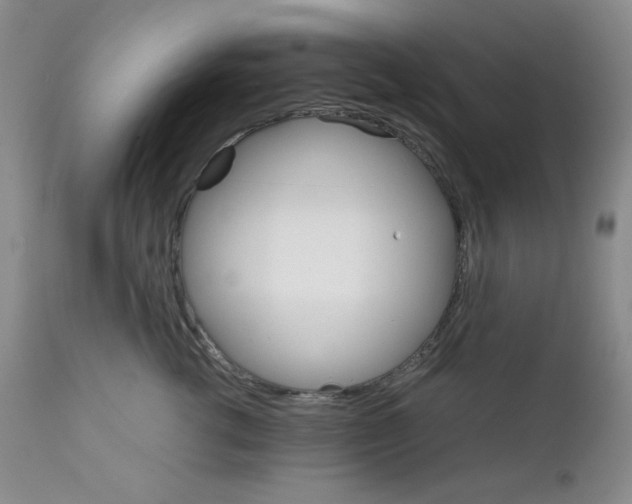 X0000111900762200908241002