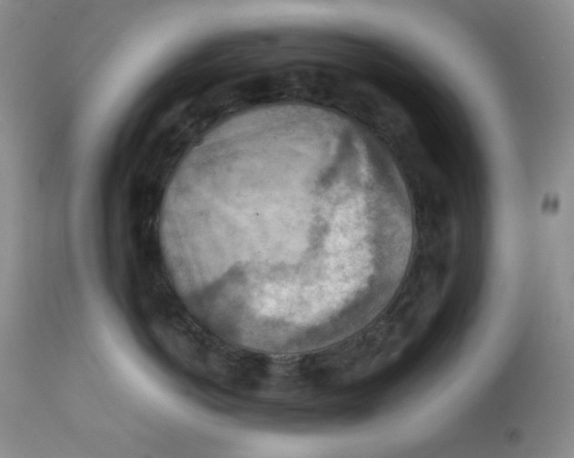 X0000111900766200908241002