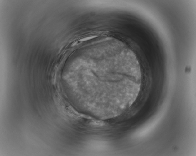 X0000111900767200908241002