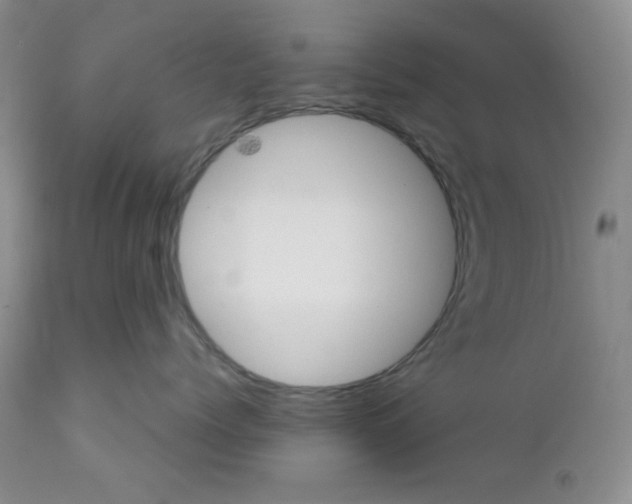 X0000111900768200908241002