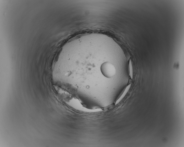 X0000111900769200908241001