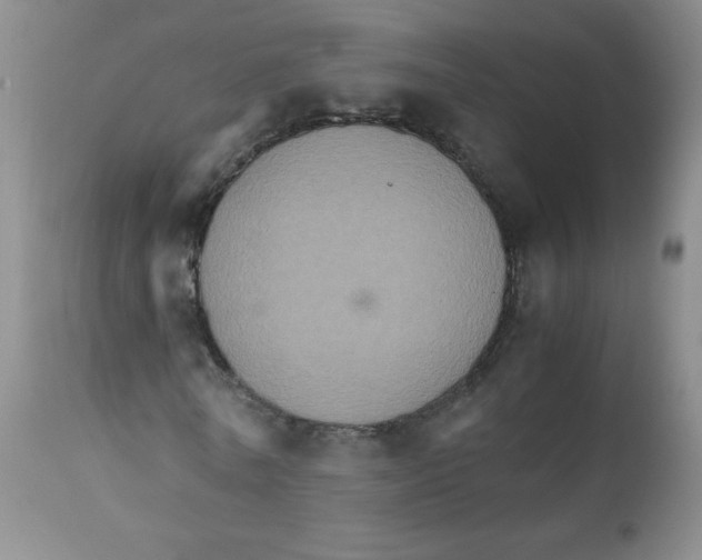 X0000111900770200908241001