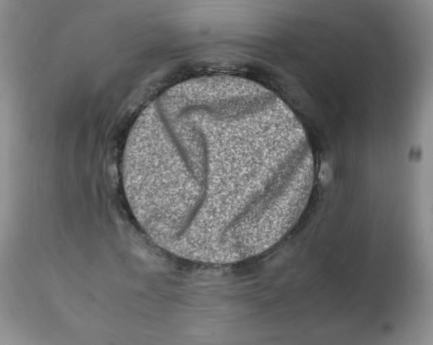 X0000111900771200908241001