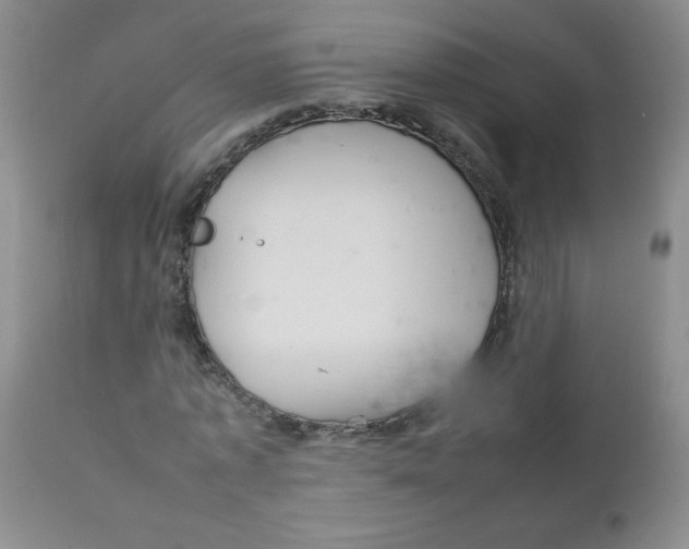 X0000111900773200908241001