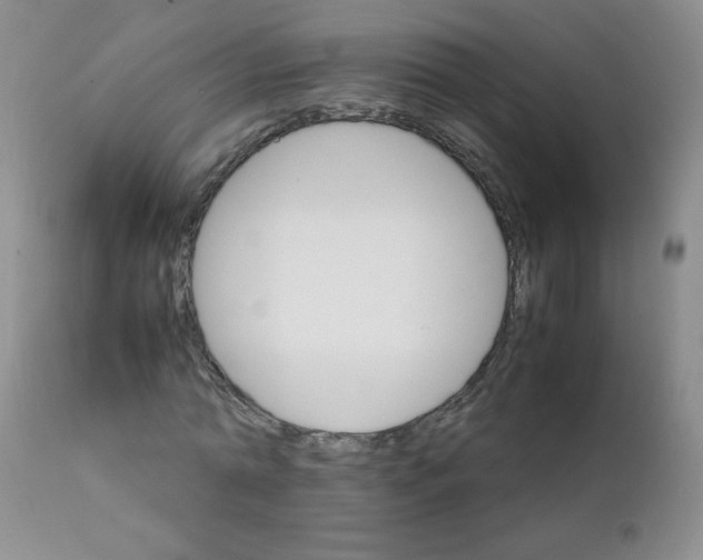 X0000111900774200908241001