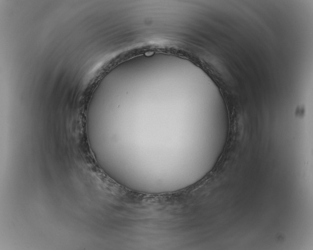 X0000111900776200908241001