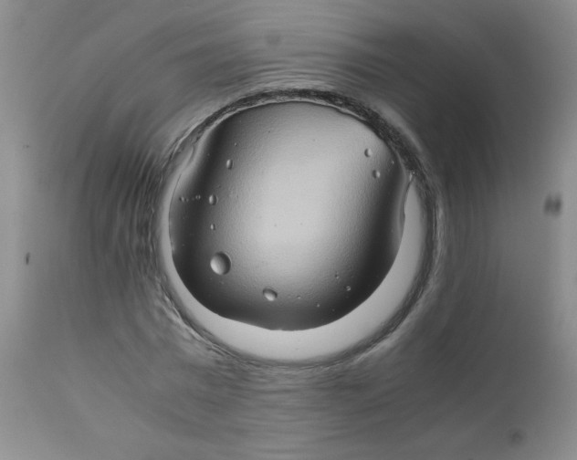 X0000111900777200908241001