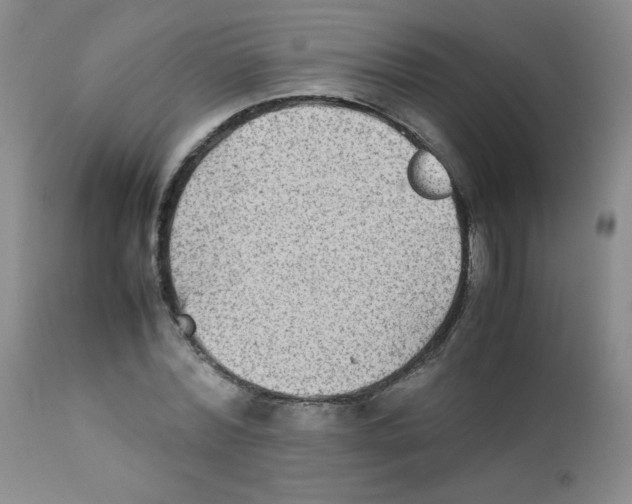 X0000111900780200908241001