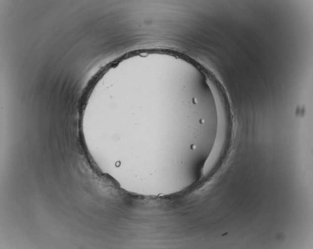 X0000111900781200908241001