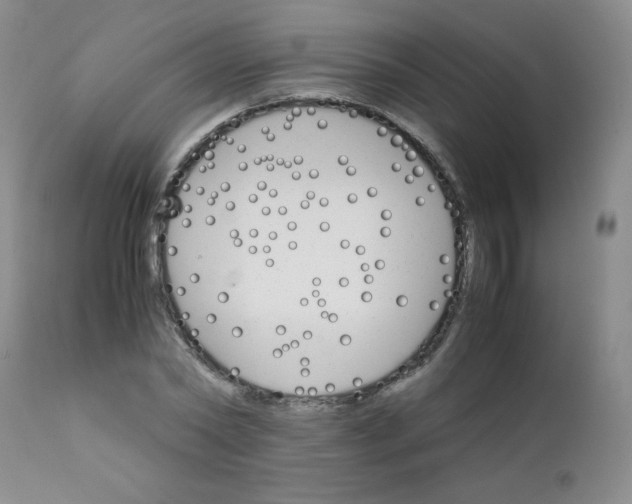 X0000111900782200908241001