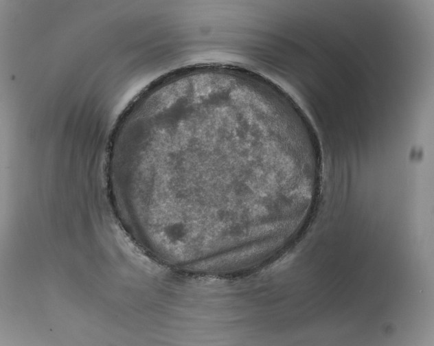 X0000111900783200908241001