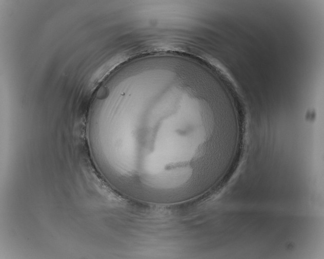 X0000111900785200908241001