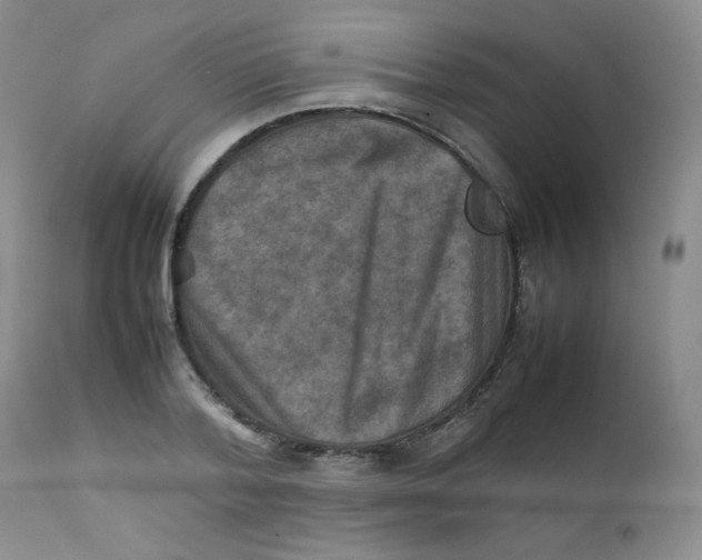 X0000111900788200908241001