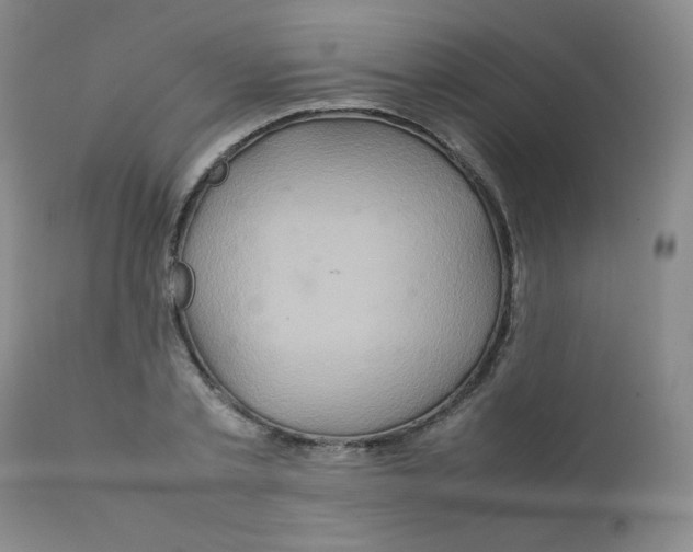 X0000111900789200908241001