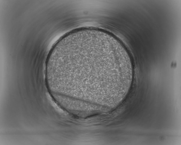 X0000111900791200908241001