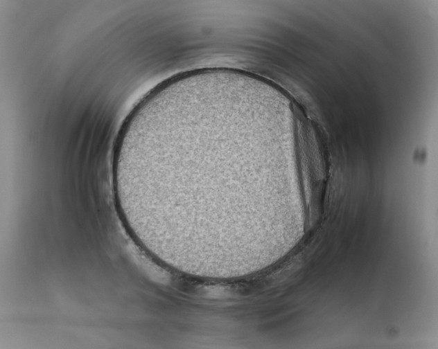 X0000111900792200908241001