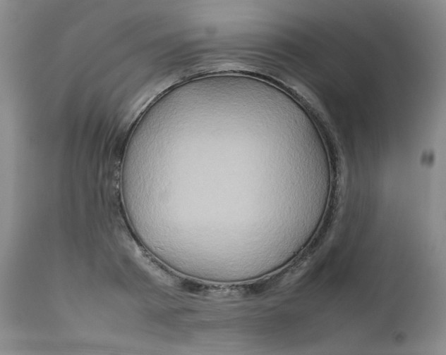 X0000111900793200908241001