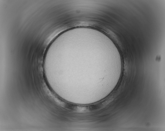 X0000111900794200908241001