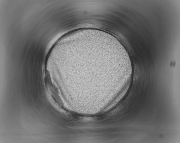 X0000111900796200908241000