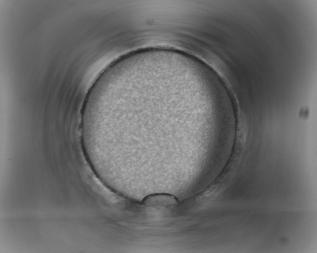 X0000111900799200908241000