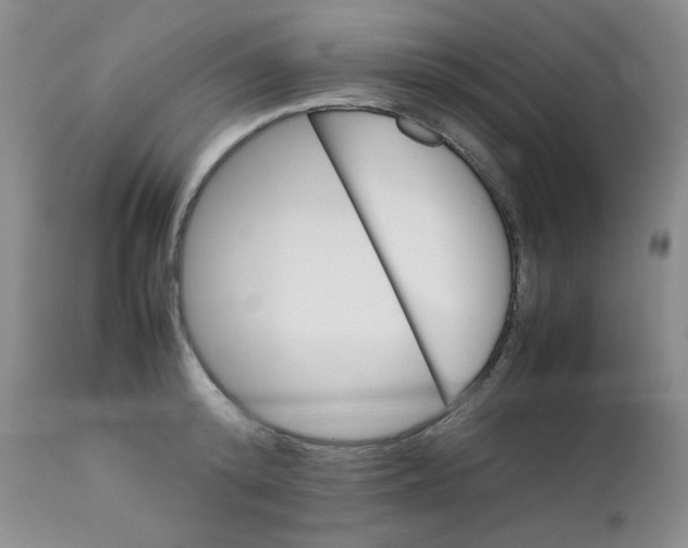 X0000111900800200908241000