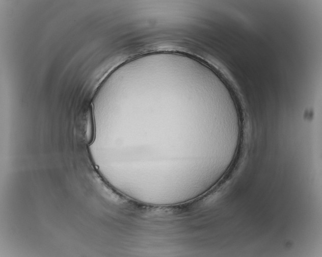 X0000111900801200908241000