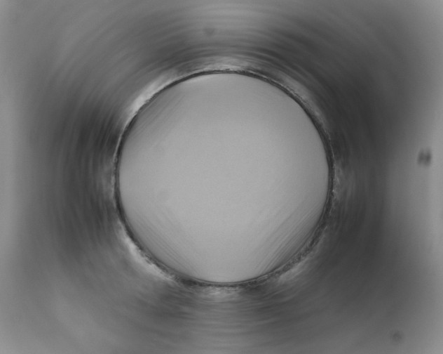 X0000111900802200908241000