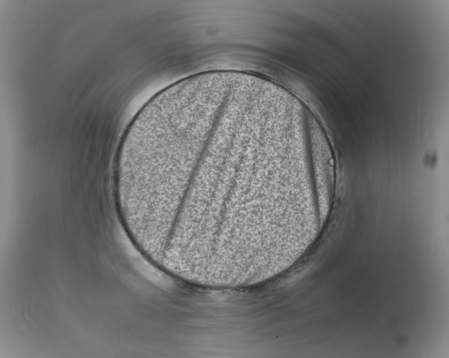 X0000111900803200908241000