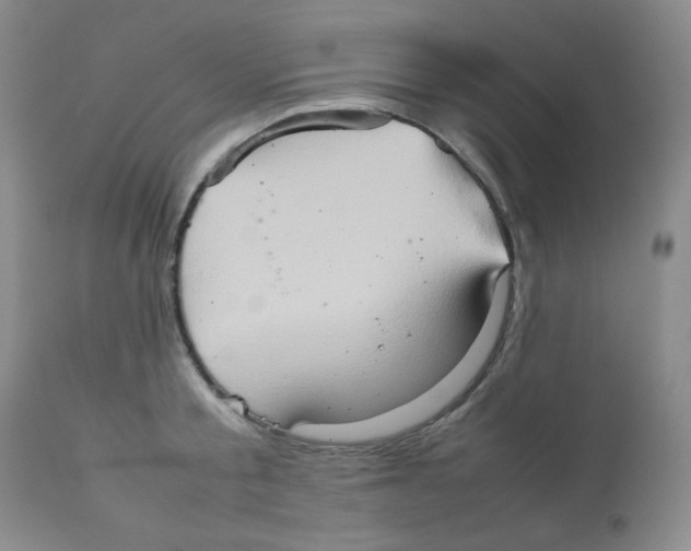 X0000111900805200908241000