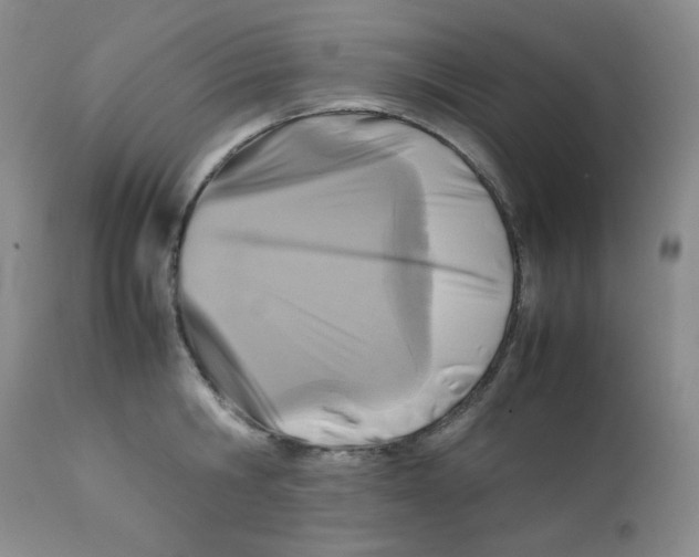 X0000111900806200908241000