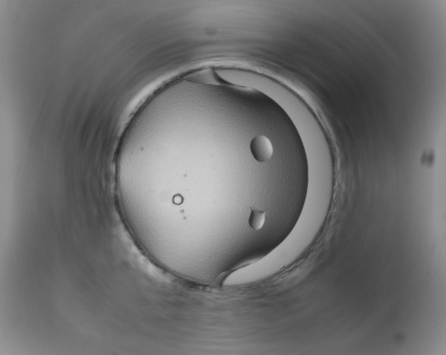 X0000111900807200908241000