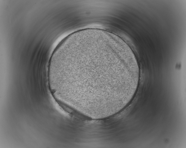 X0000111900808200908241000