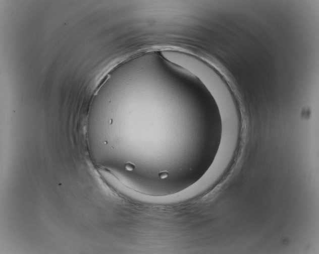 X0000111900809200908241000