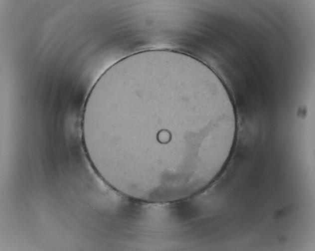 X0000111900810200908241000