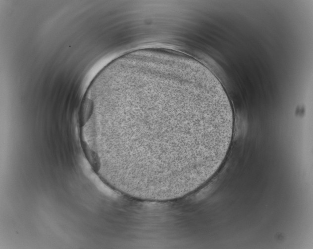 X0000111900812200908241000