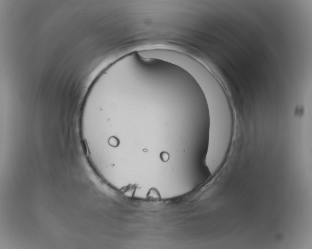 X0000111900813200908241000