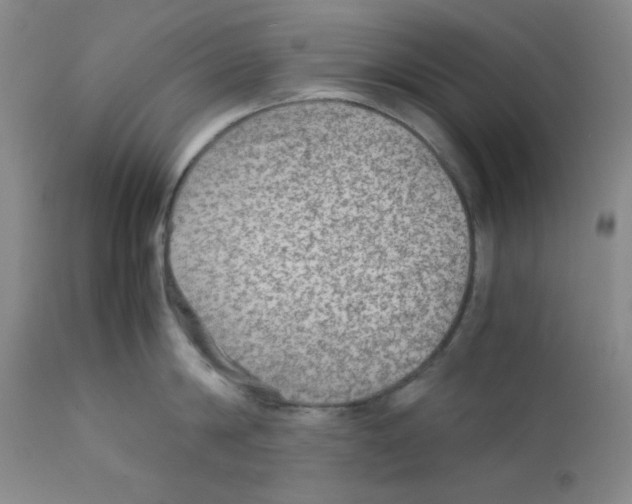 X0000111900814200908241000