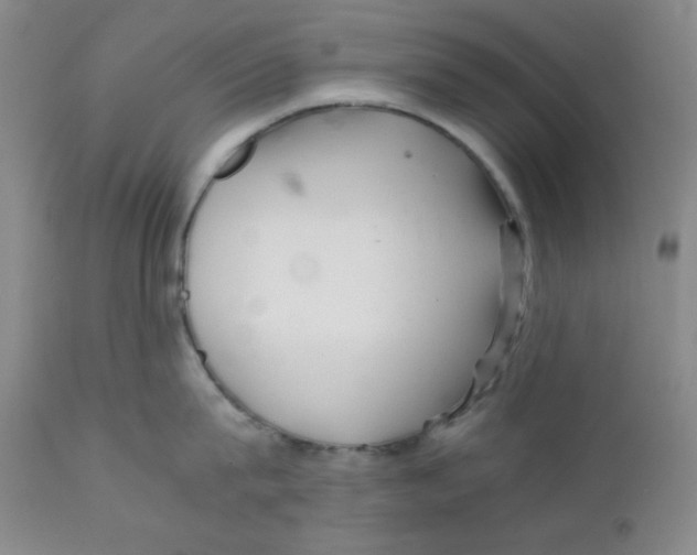 X0000111900815200908241000