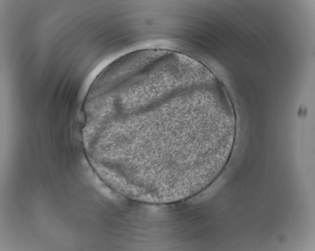 X0000111900816200908241000