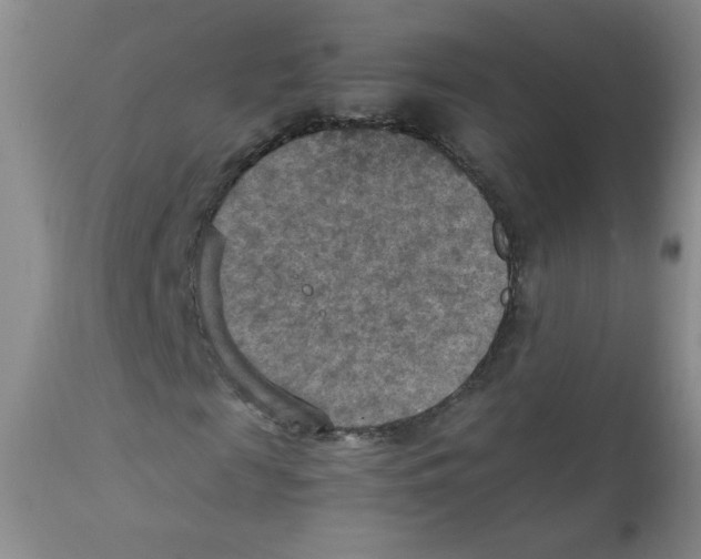 X0000111900817200908240959