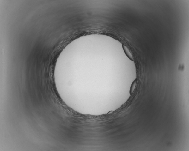 X0000111900818200908240959